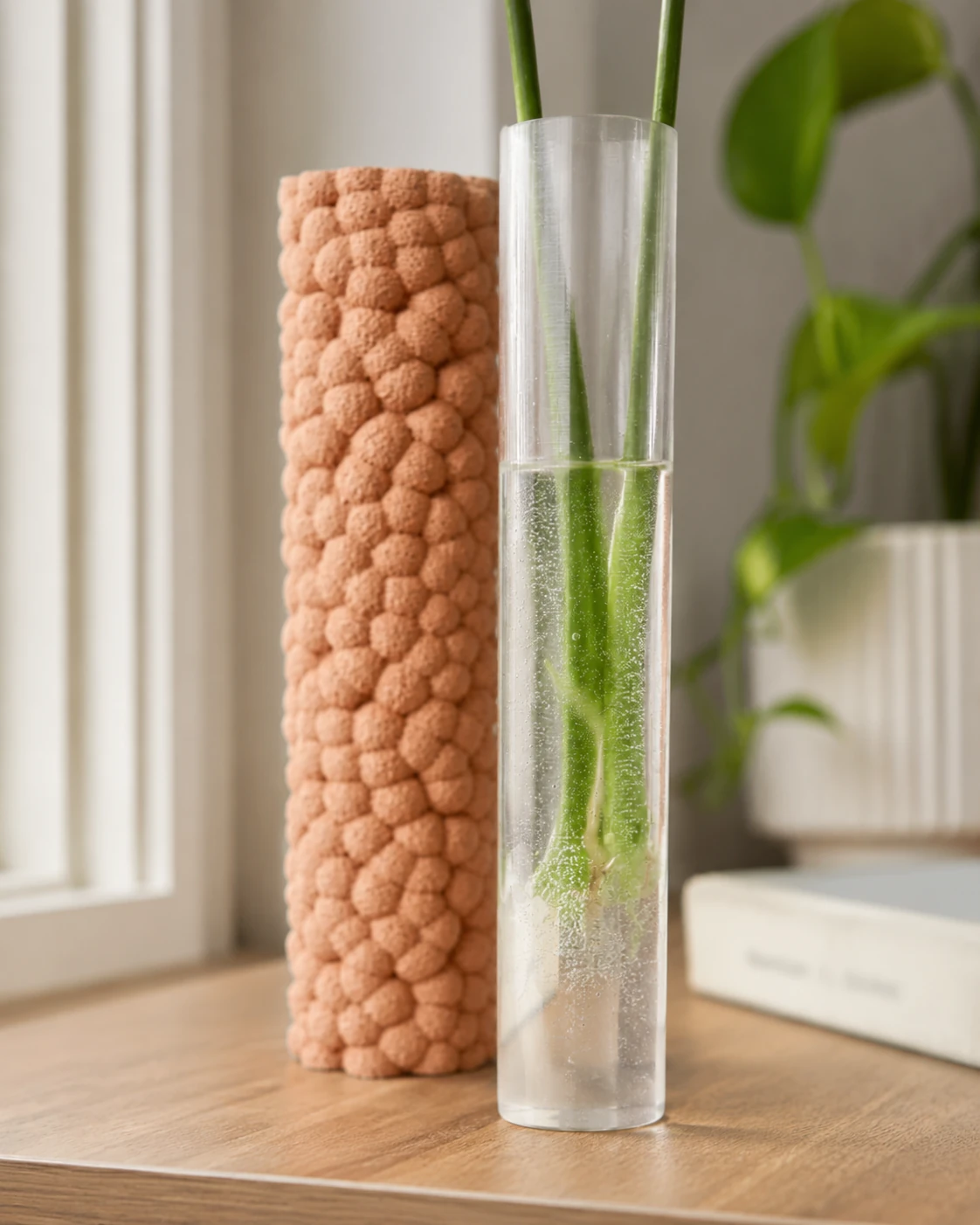 Briza junto a un tubo de cristal con esqueje